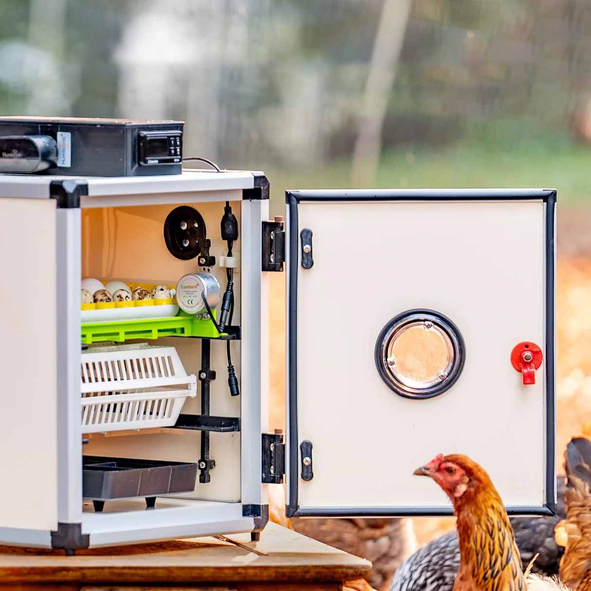 Commercial Egg Incubators