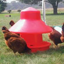 Poultry Feeders